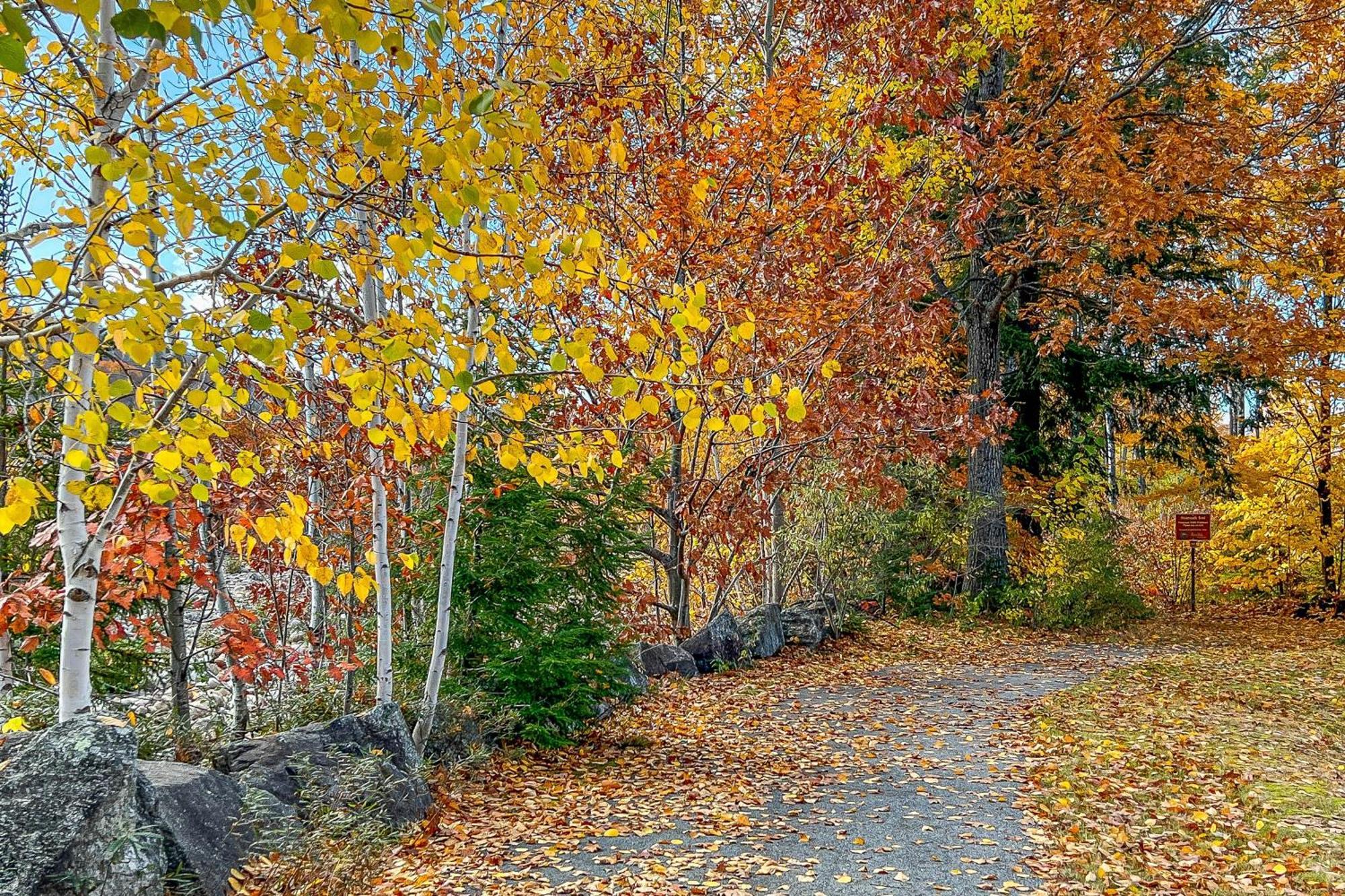 Autumn Colors Condo At Rivergreen Lincoln Buitenkant foto